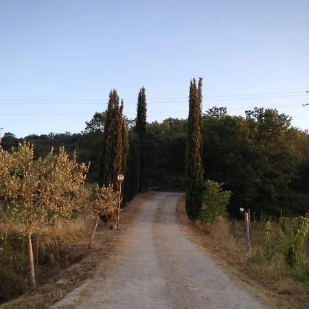 Casa Di Campagna Cicerale